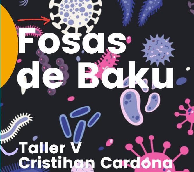 Fosas de Baku