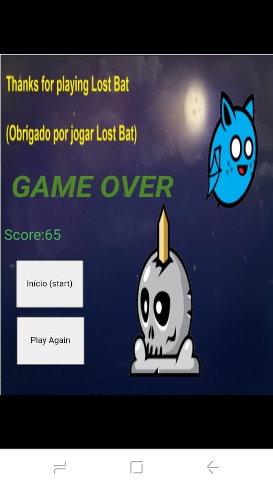 Lost Bat