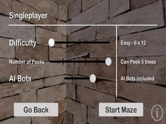 Maze Race Challenge screenshot 3