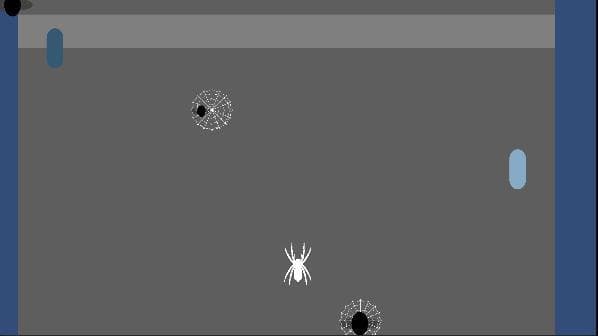 Spider Project Prototype