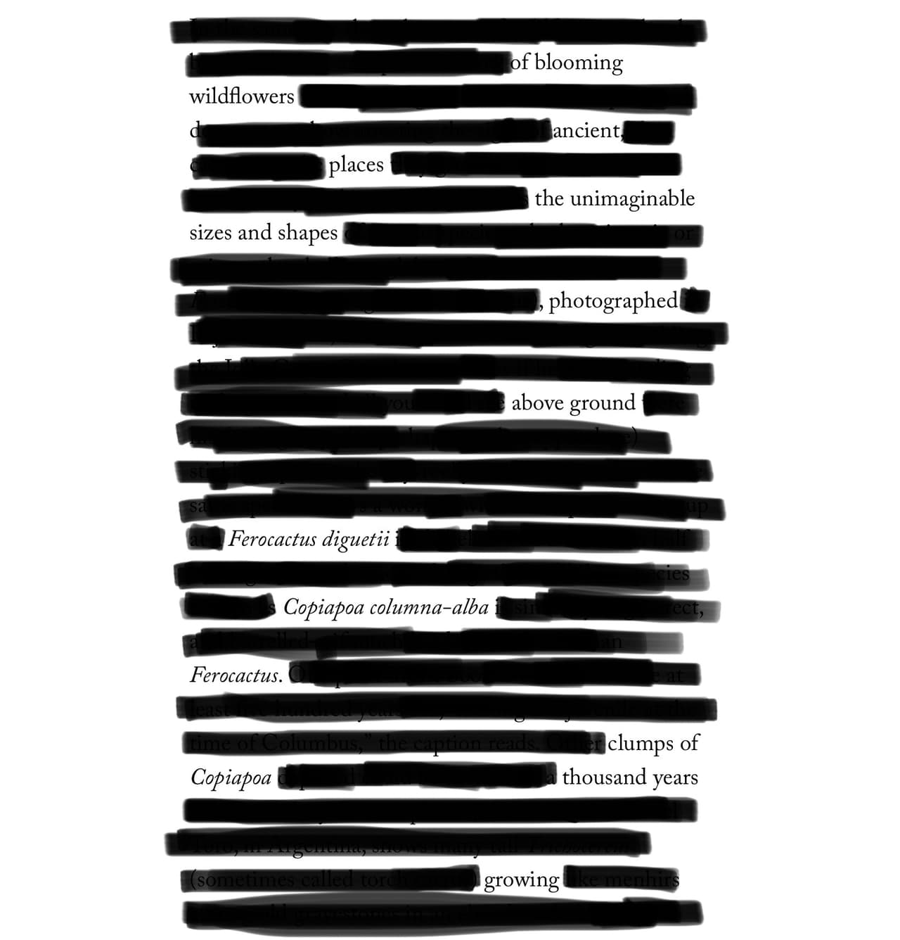 Individually Potted - A Blackout Poem screenshot 6
