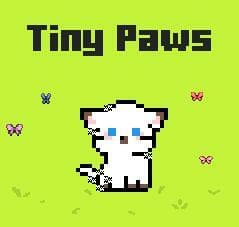 Tiny Paws
