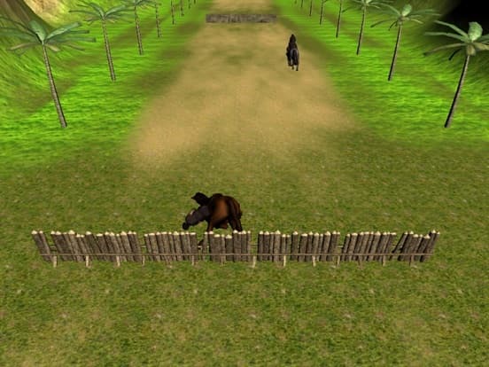 Crazy Horse Racing Champion screenshot 4