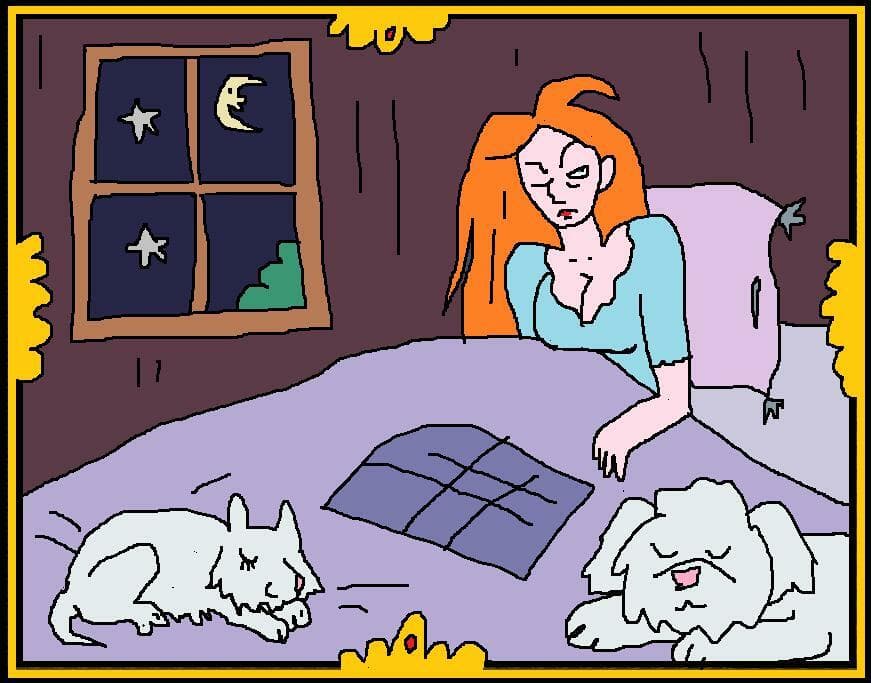 Sleepless night (Gargoolia)