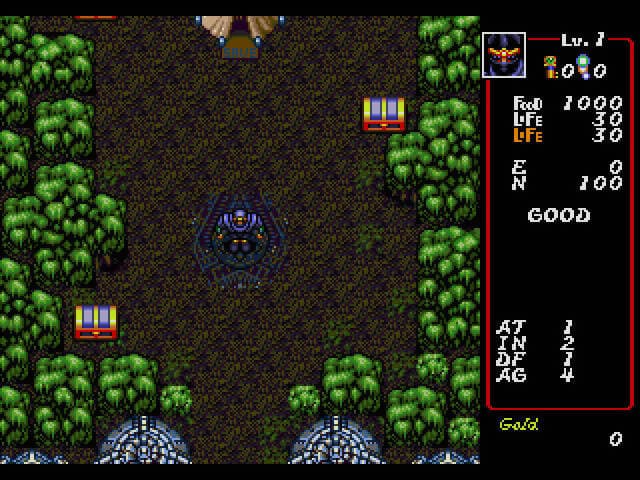Dungeon Explorer (1994) screenshot 5