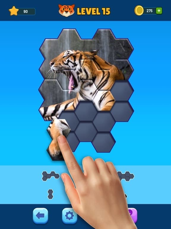 Hexa Jigsaw Puzzle screenshot 2