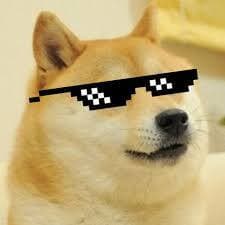 Doge Rush exclusive