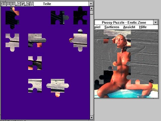 Erotic Zone: Pussy Puzzle