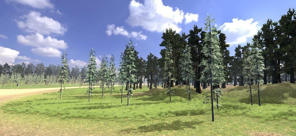 Lonely Racer 3D