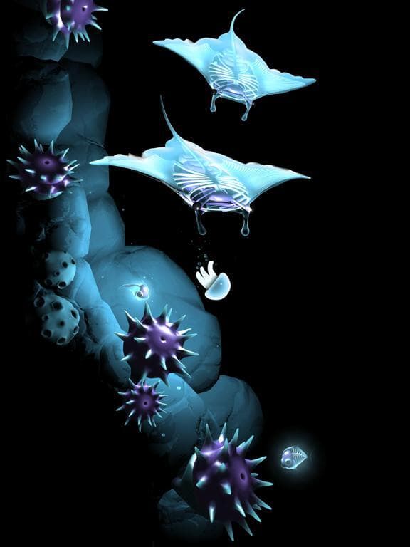 Seashine screenshot 3