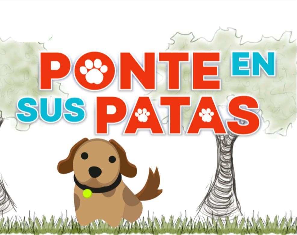 En sus patas
