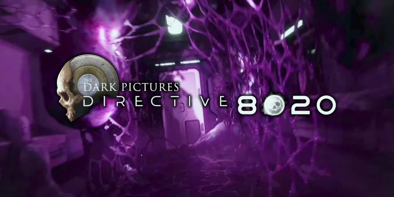 Directive 8020 screenshot 2