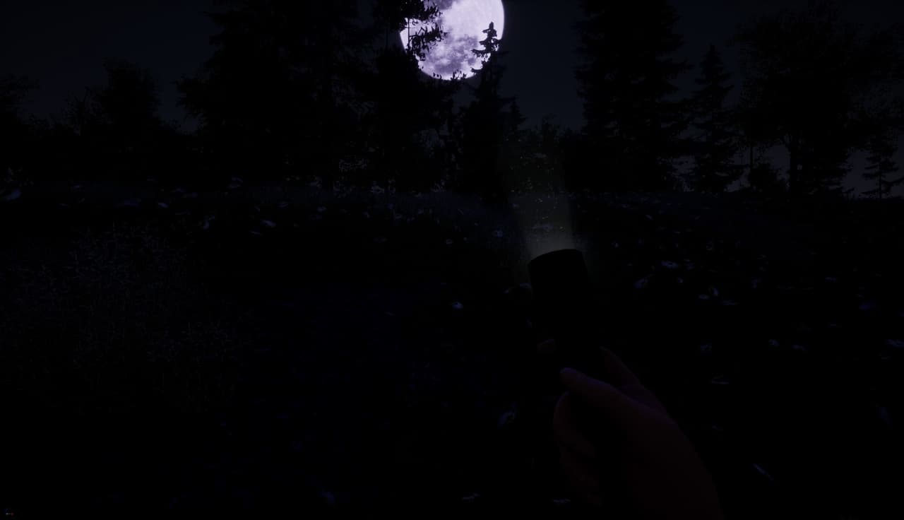 Slenderman screenshot 5