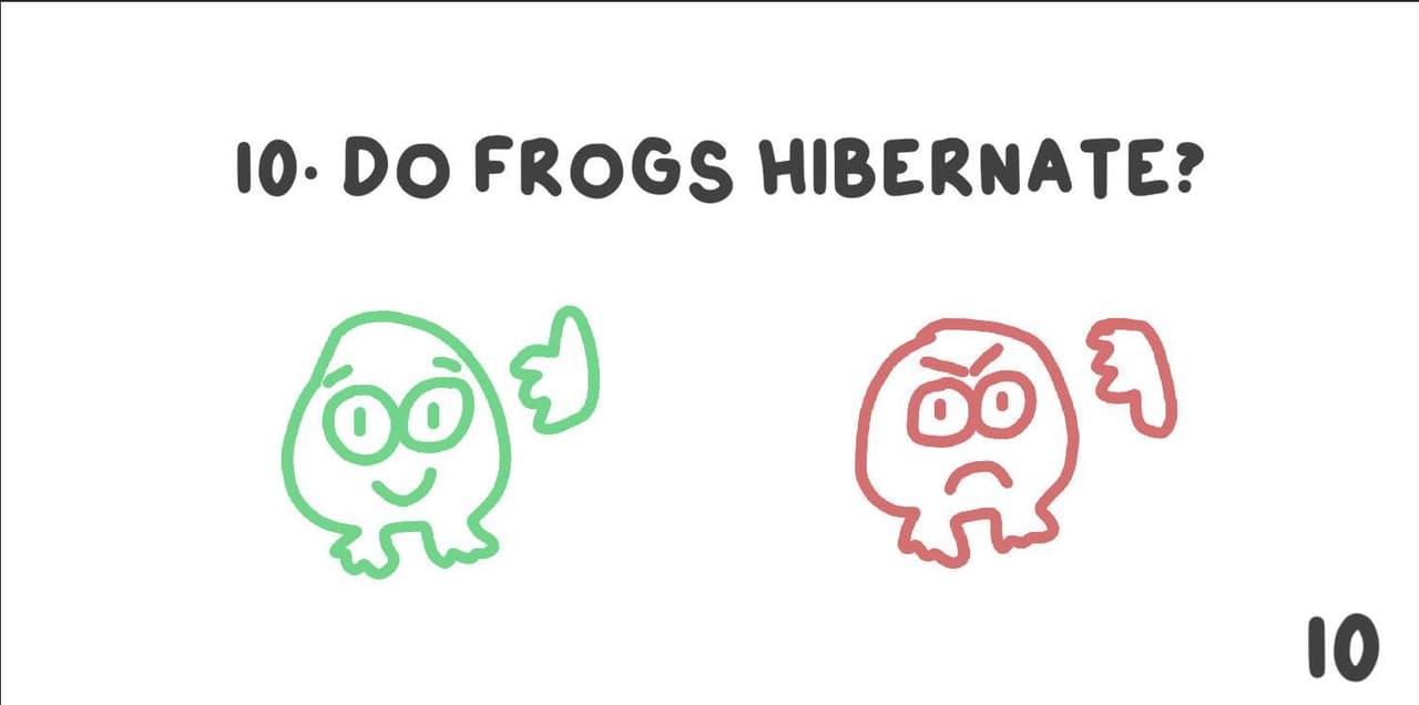 Fact Frog screenshot 2