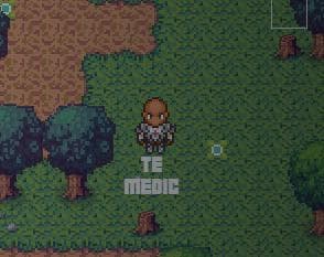 Reclaimed: Capture the log screenshot 2