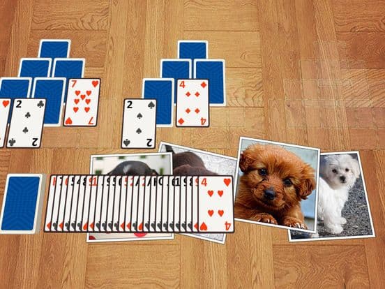 TriPeaks Puppies