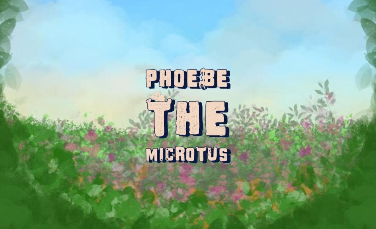 Phoebe The Microtus screenshot 2