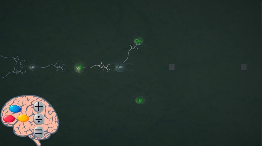 Brain-Cells