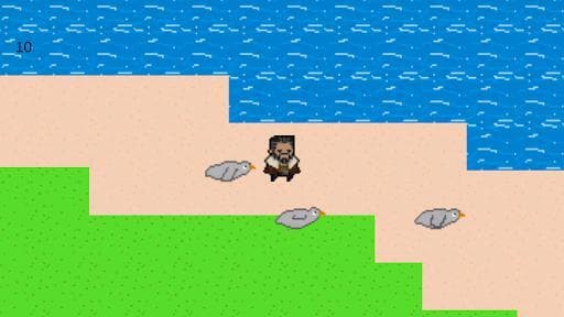Seagulls (HOCKEYsLIT)