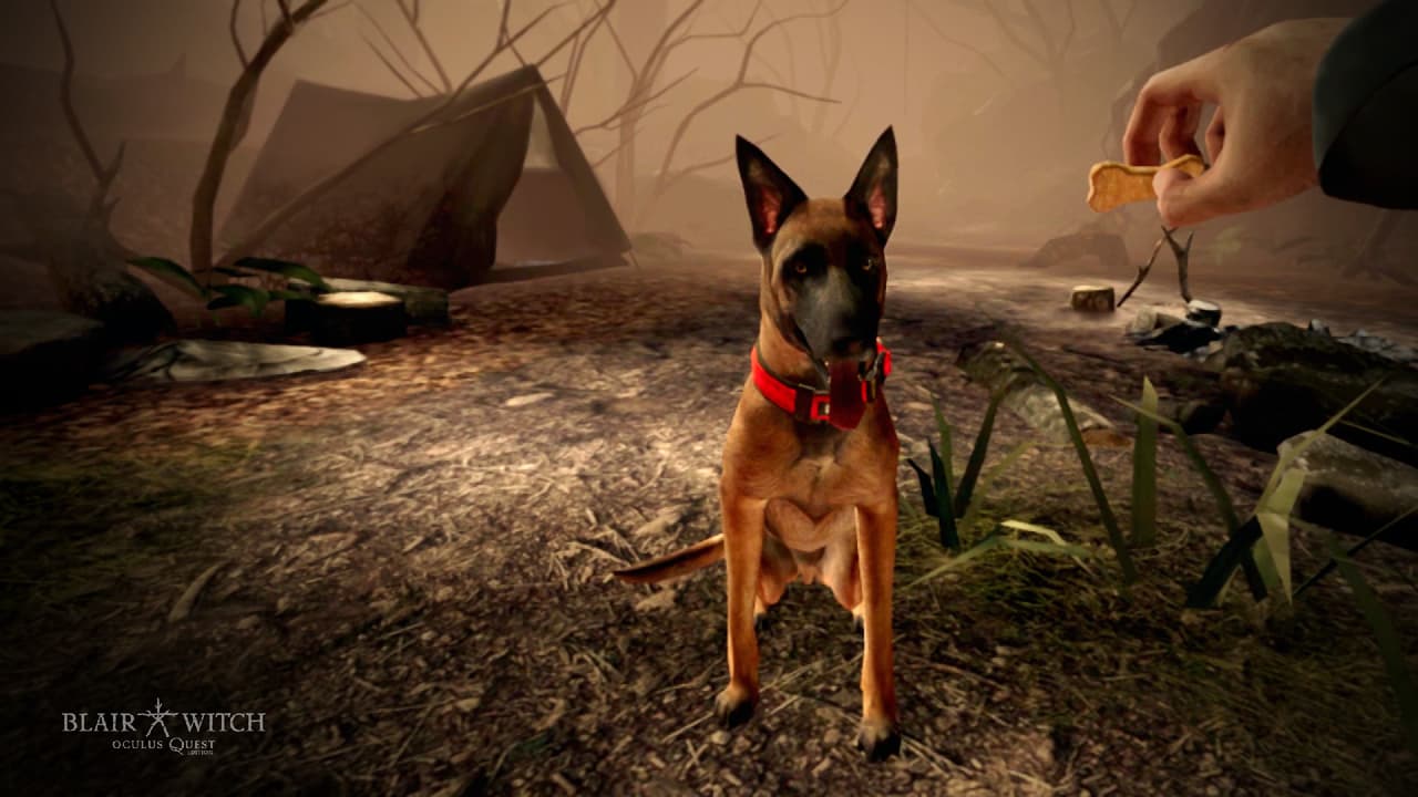 Blair Witch: Oculus Quest Edition screenshot 2