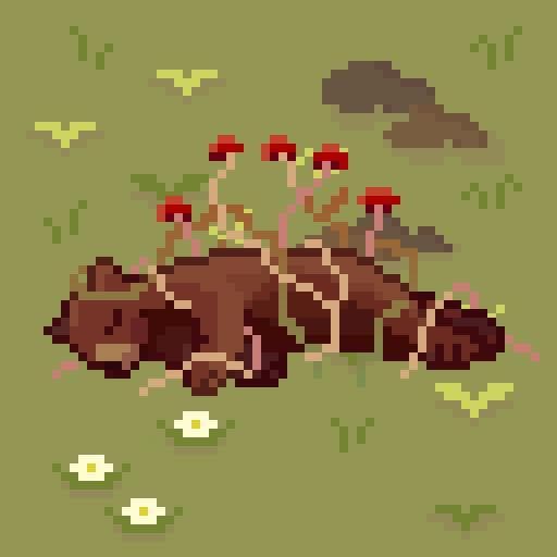 Not Much Shroom