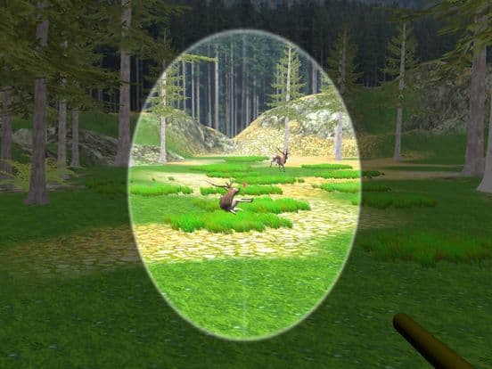 Deer Hunting 2017