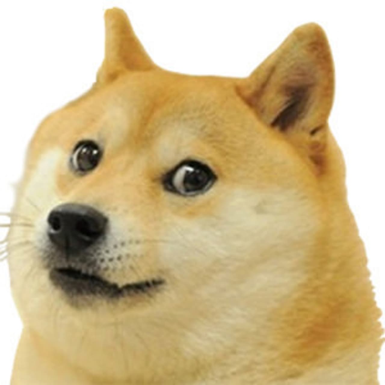 Rage Button Simulator