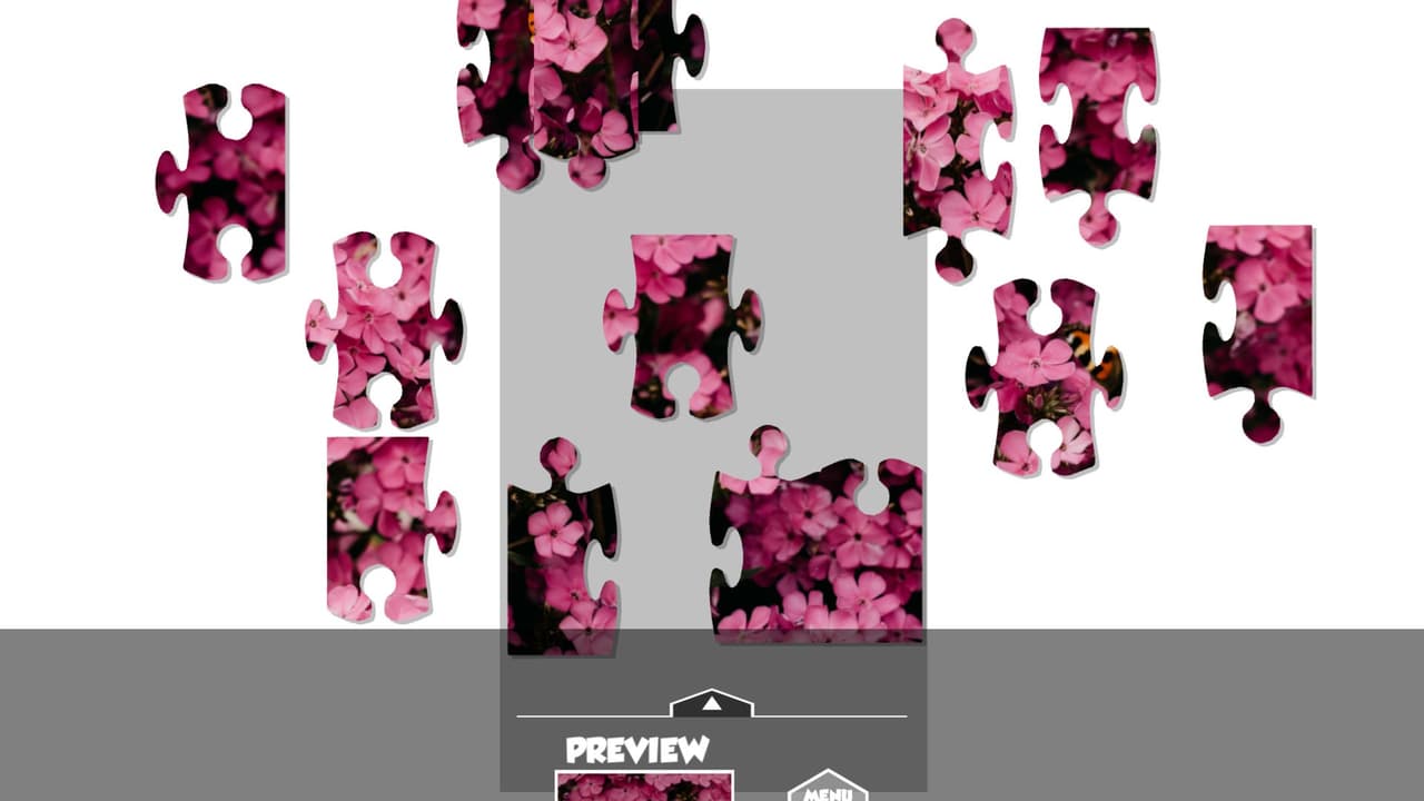 Puzzlection