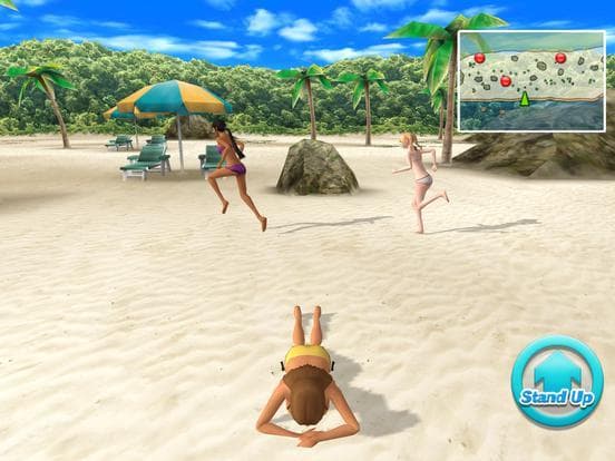 Beach Flag Paradise screenshot 4