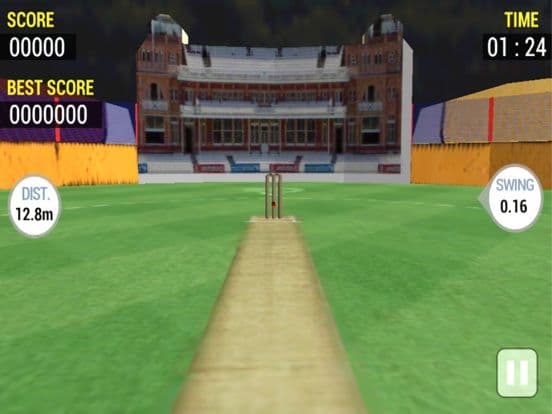 Real Cricket Runout Championship screenshot 2