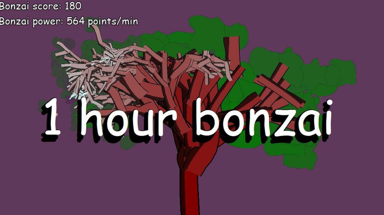 1 hour bonzai