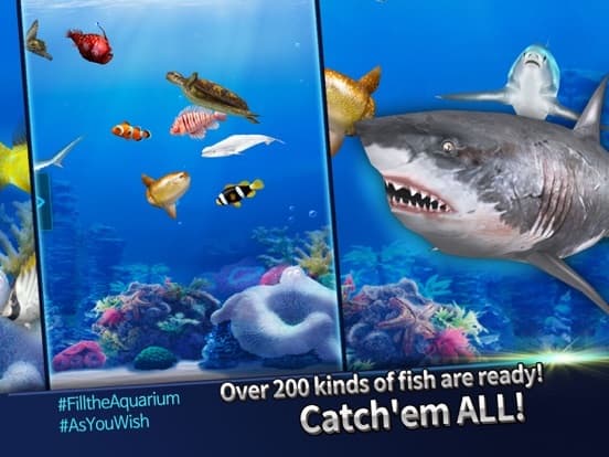 Fishing Rivals: Hook & Catch