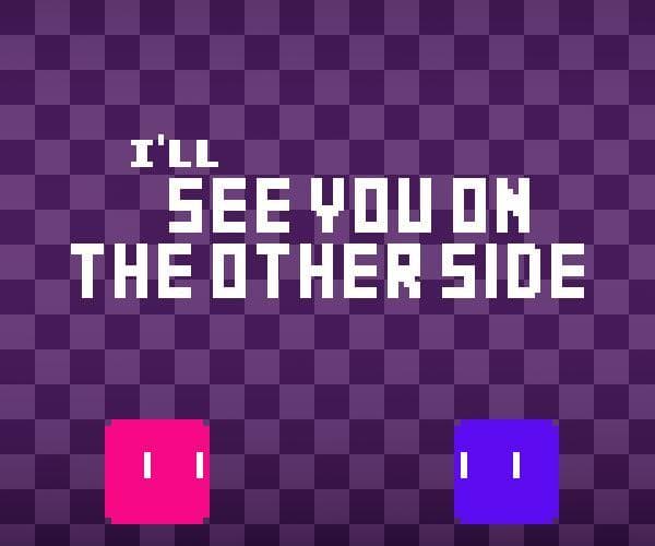 Ill See You On The Other Side