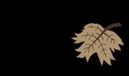 BreakFall