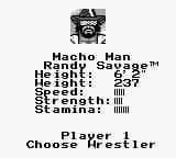 WWF King of the Ring screenshot 4