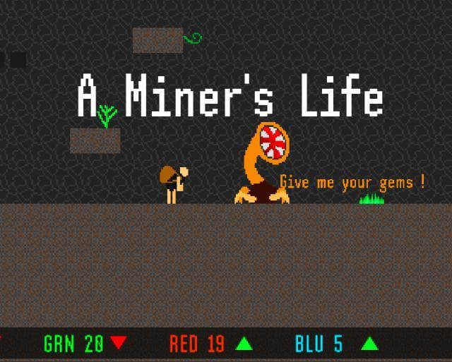 A Miners Life