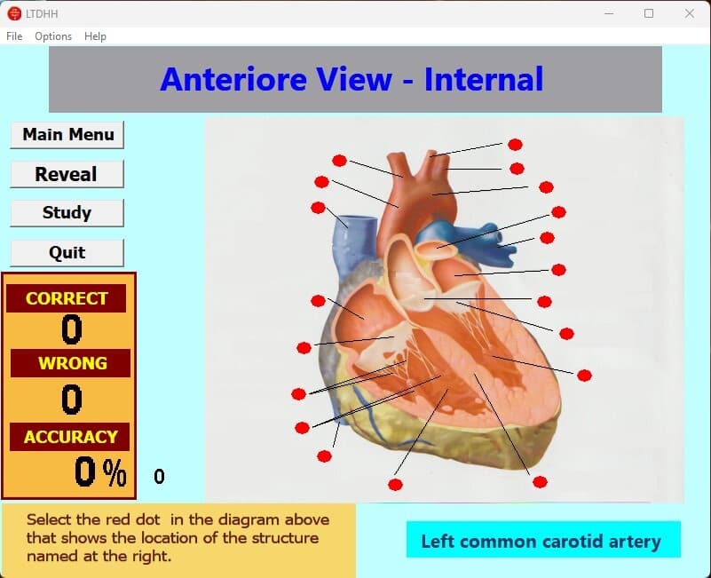 Label That Diagram - Human Heart - PreMed screenshot 3