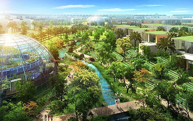 Sustainability City