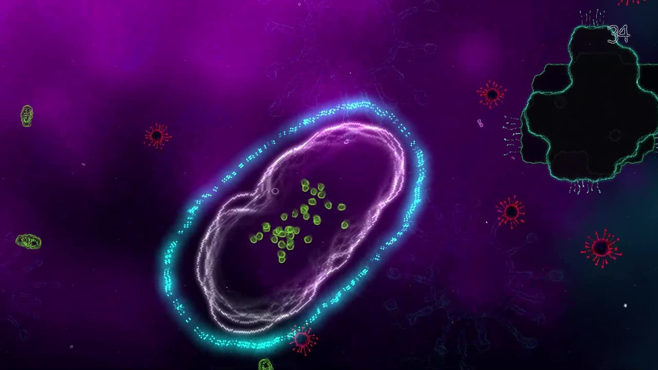 Ravenous&Fragile screenshot 3