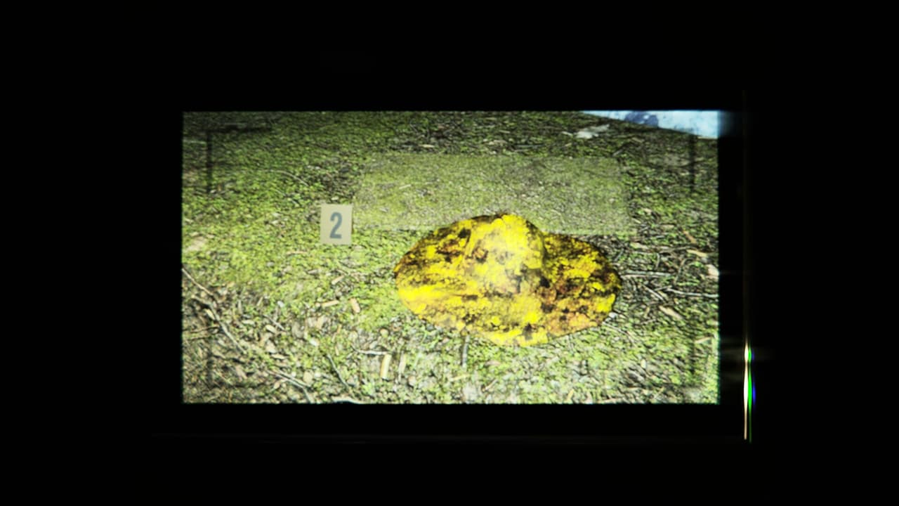 .redruM screenshot 5
