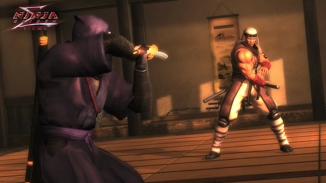 NINJA GAIDEN Σ2 screenshot 2
