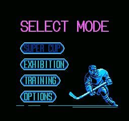 Pro Sport Hockey screenshot 5