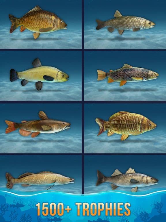 Sport Fishing: Catch a trophy screenshot 5