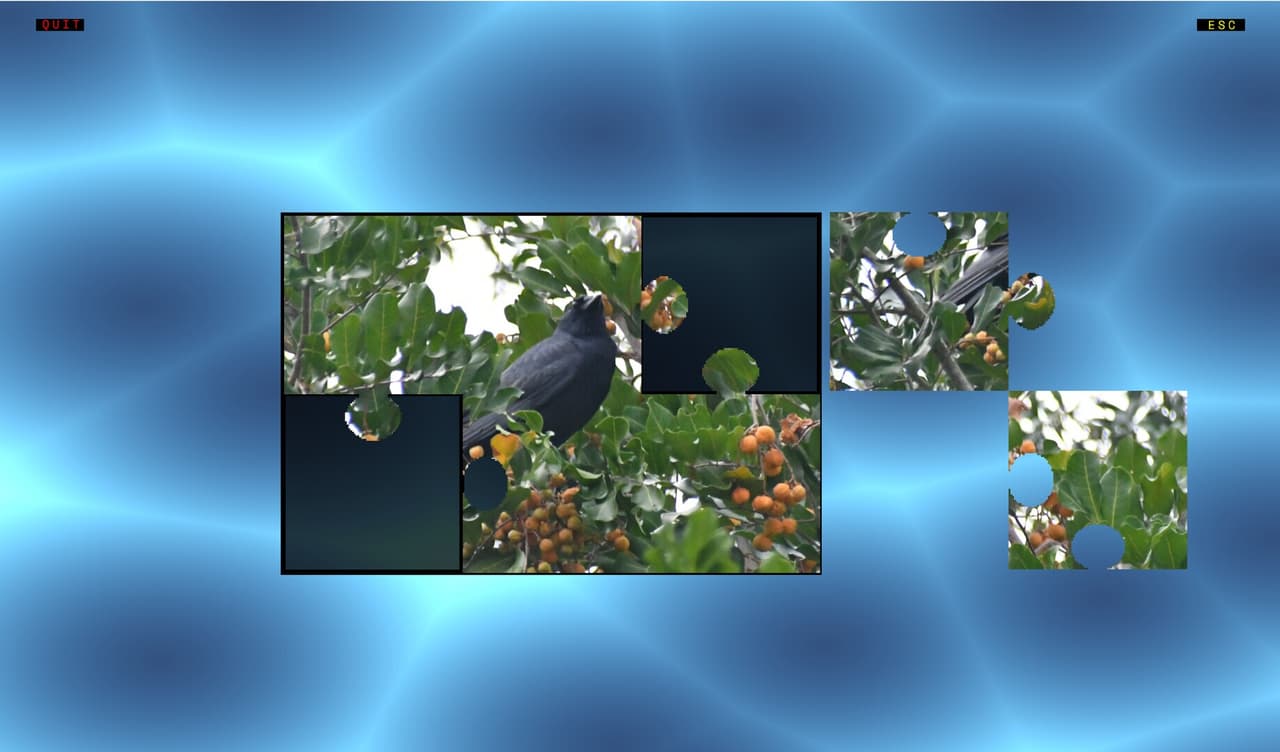 Jons Jigsaw Puzzle screenshot 5