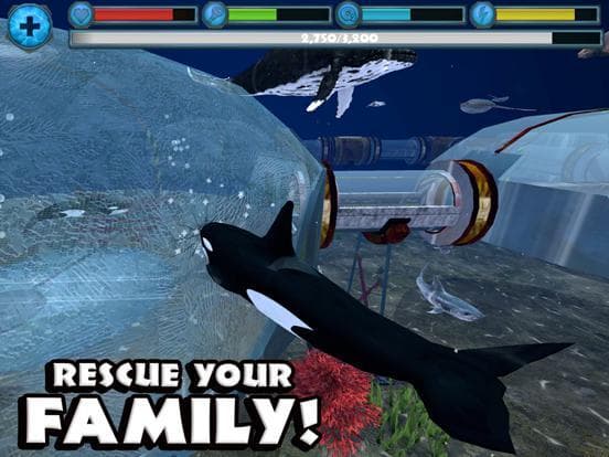 Orca Simulator screenshot 3