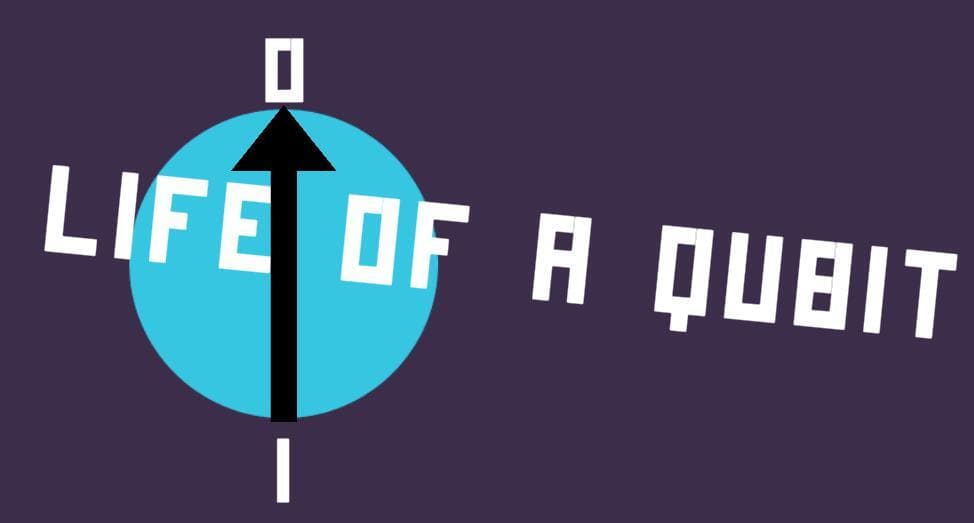 Life of a qubit
