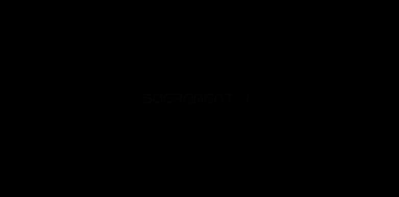 sacrament i.