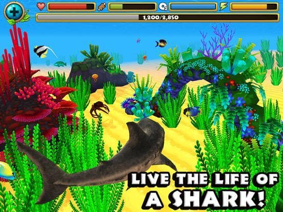 Wildlife Simulator: Shark screenshot 2