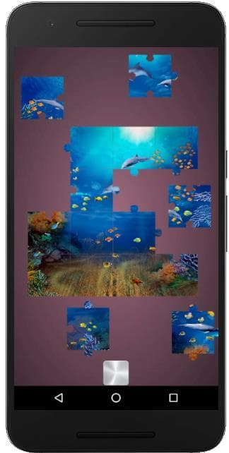 Real Dolphins Game: Jigsaw Puzzle 2019 screenshot 2