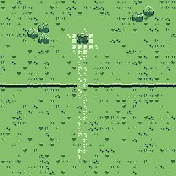 The Legend of the Stump